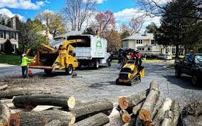 Best Tree and Shrub Care  in Wesley Chapel, NC