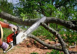 Best Lawn Grading and Leveling  in Wesley Chapel, NC